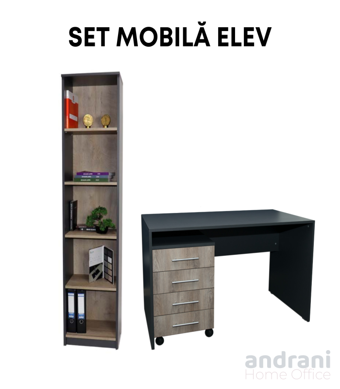 Set mobilier elevi