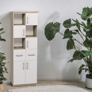 Dulap combinat cu 5 uși  